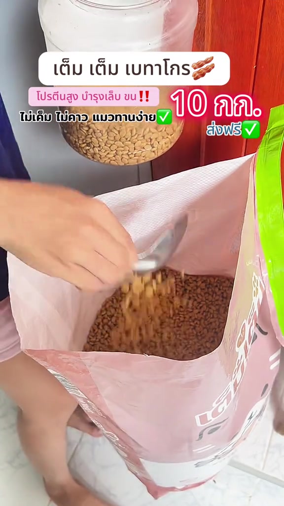 มือใช้ช้อนตักอาหารแมวเม็ดจากกระสอบสีชมพู พร้อมข้อความบนจออ้างโปรตีนสูง ไม่เค็ม ไม่คาว