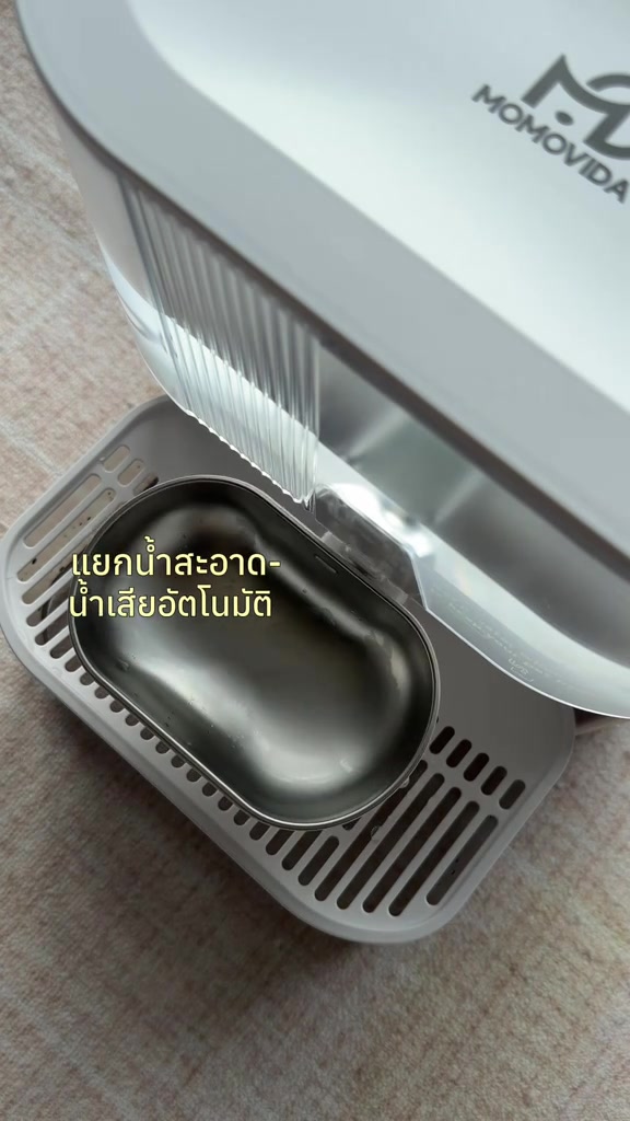 ภาพระยะใกล้ของถาดสแตนเลสใต้ตัวน้ำพุแมวขณะน้ำไหลจากถังใสลงถาด