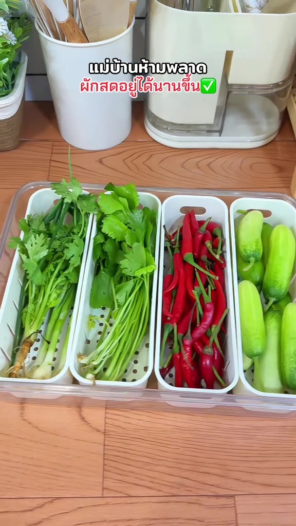 ลองกล่องเก็บผักในตู้เย็นแบบมีตะแกรงสะเด็ดน้ำ ผักชี ต้นหอม พริก สดนานขึ้นจริงไหม แล้วทำไมใส่กล่องแล้วยังเน่า