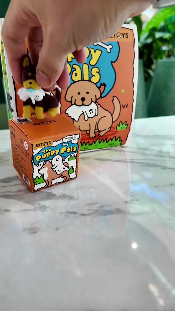 มือวางฟิกเกอร์ลูกหมาขนฟูบนกล่องสุ่มสีส้มลายเดอะพัปปี้พาลส์ ฉากหลังเป็นกล่องใหญ่ลายเดียวกัน