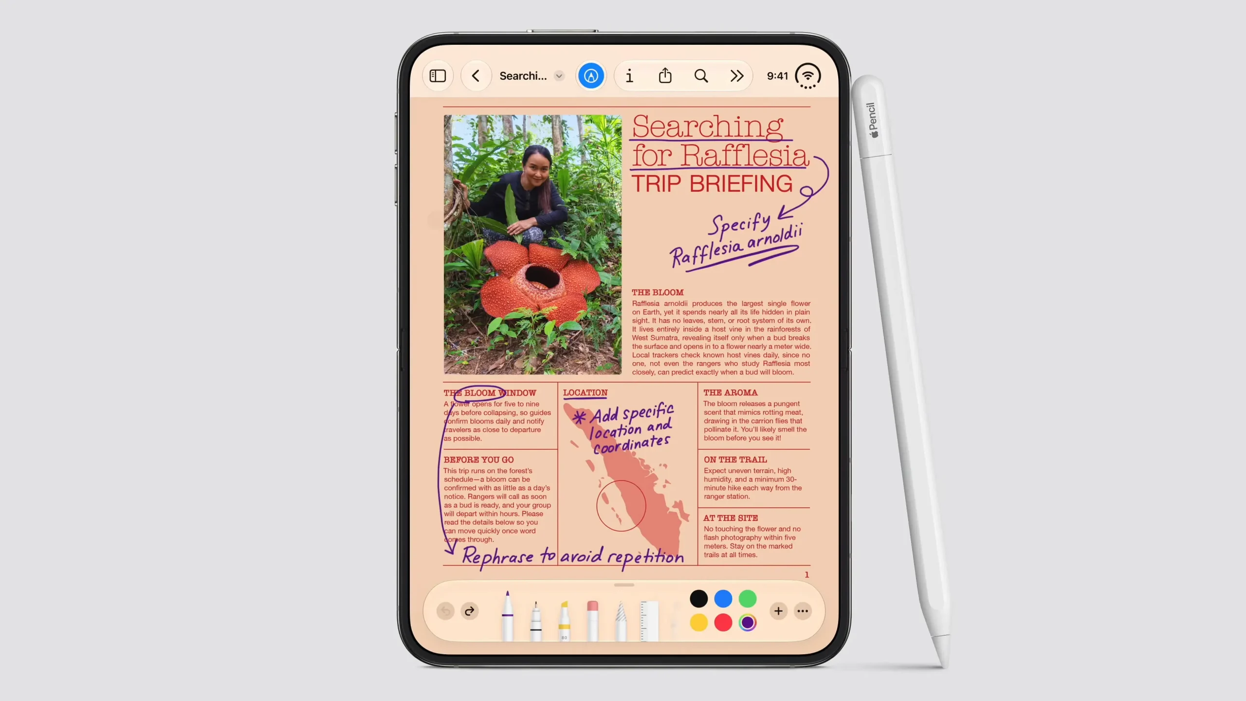 คู่มือ iPhone Duo ก่อนซื้อ จอพับ Apple ที่เหมาะกับคนส่วนใหญ่
