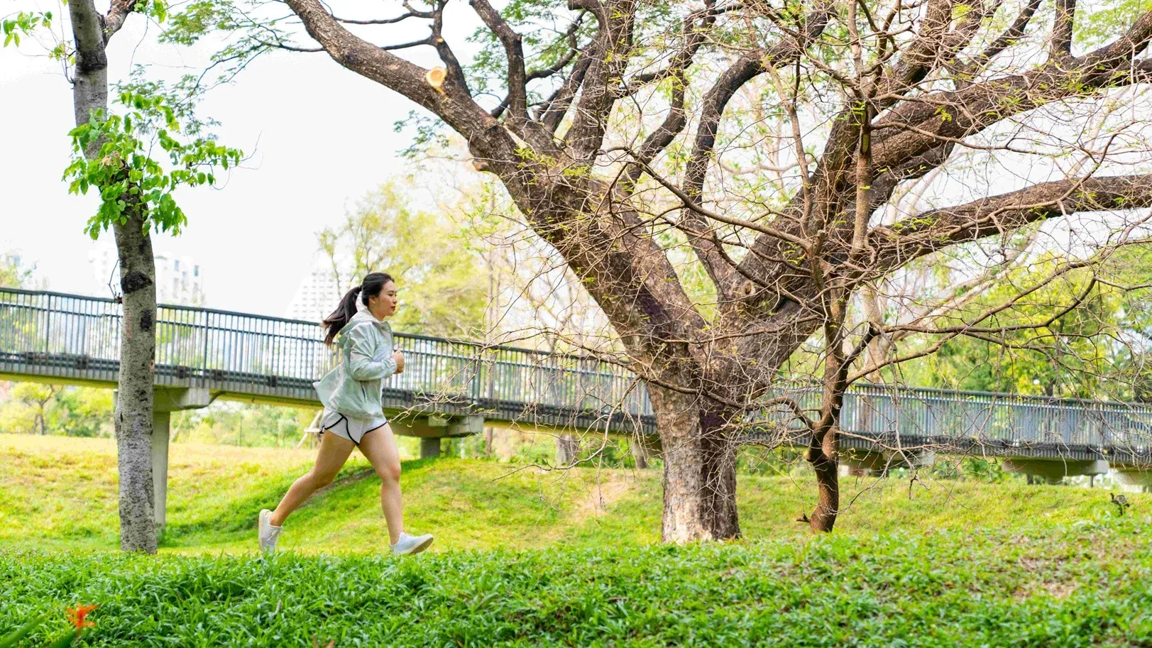 การตรวจสุขภาพผู้หญิงตามวัย 30 40 50 แผนที่ชีวิตที่ไม่ควรมองข้าม