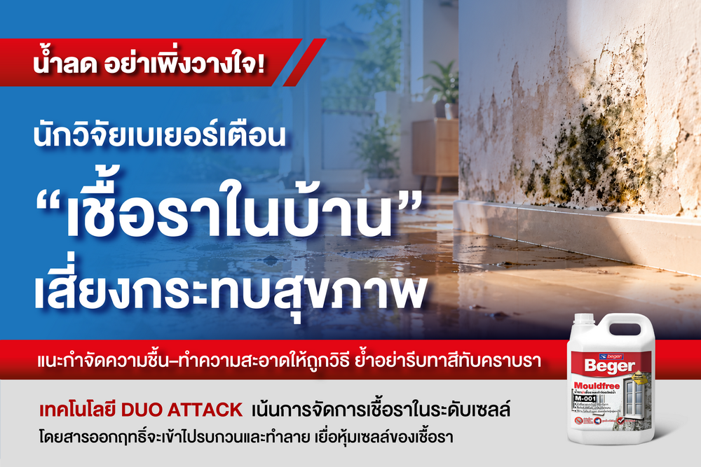 เชื้อรากำลังเติบโตอยู่ในผนัง วิธีกำจัดความชื้นหลังน้ำลดให้ถูกต้อง
