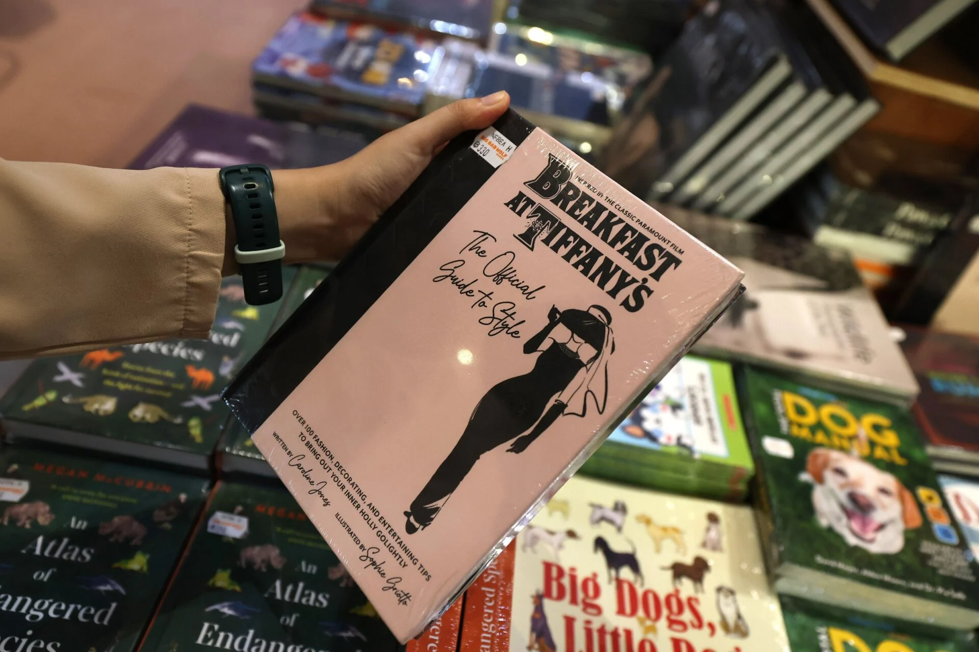 เคลียร์สต็อกล้านเล่ม Big Bad Wolf Books ลดสูงสุด 95% คุ้มไหมต้องรีบตัดสินใจ