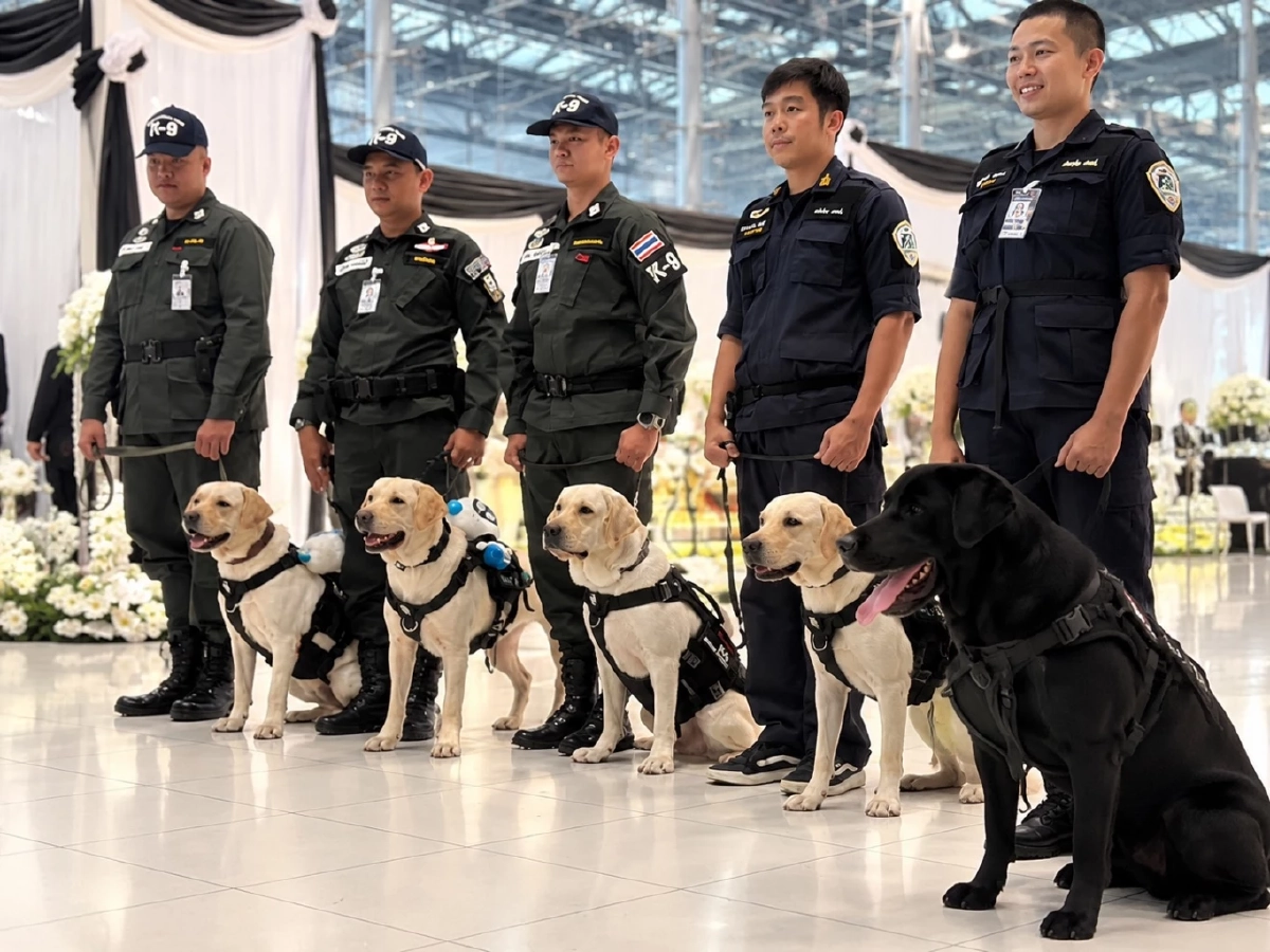 ชมการแข่งขันสุนัขตำรวจ K-9 Challenge ทดสอบความเร็วและไหวพริบ เข้าชมฟรี