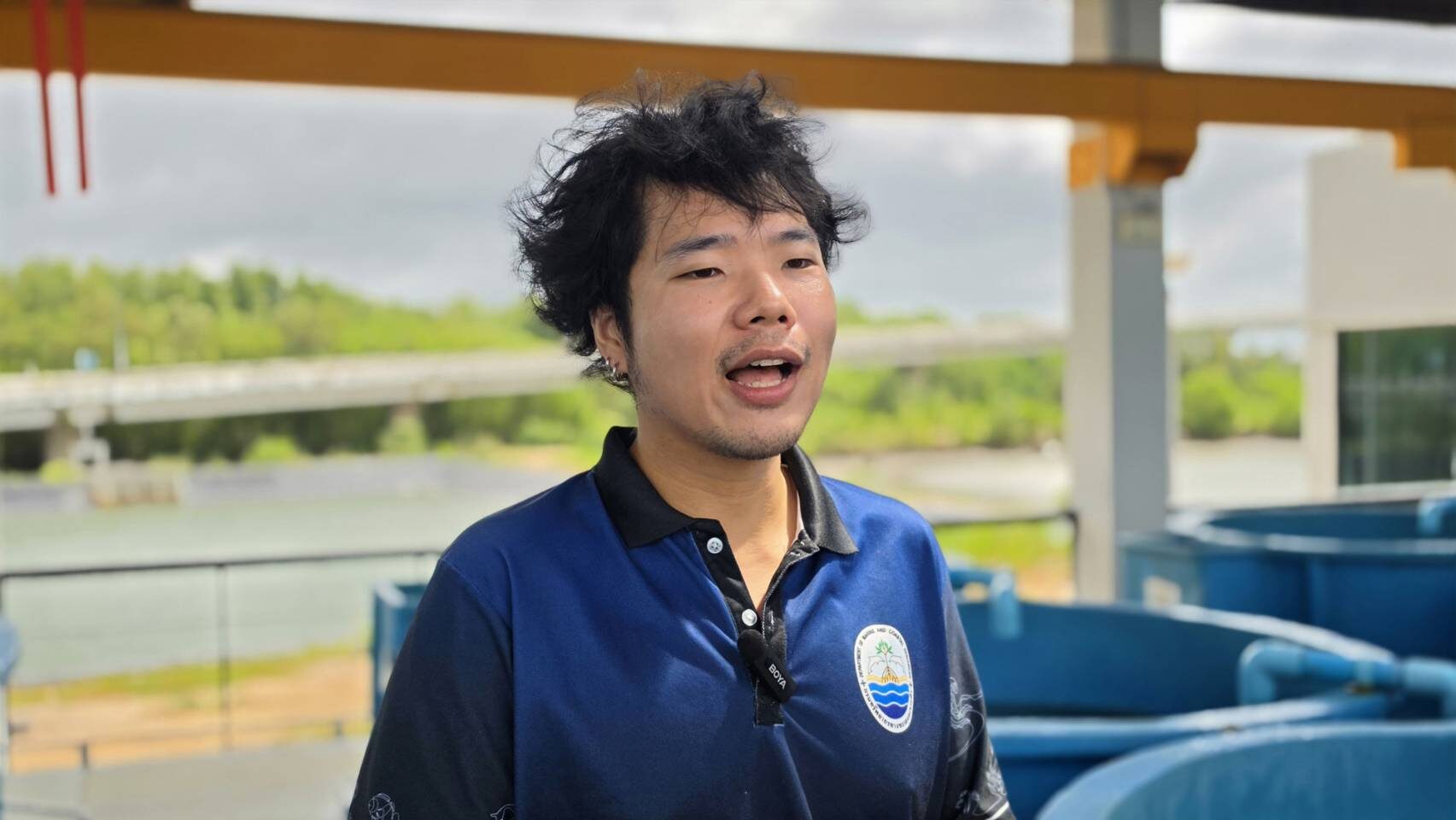 ประชากรเต่าทะเลลดลง 40% สัญญาณเตือนระบบนิเวศทะเล