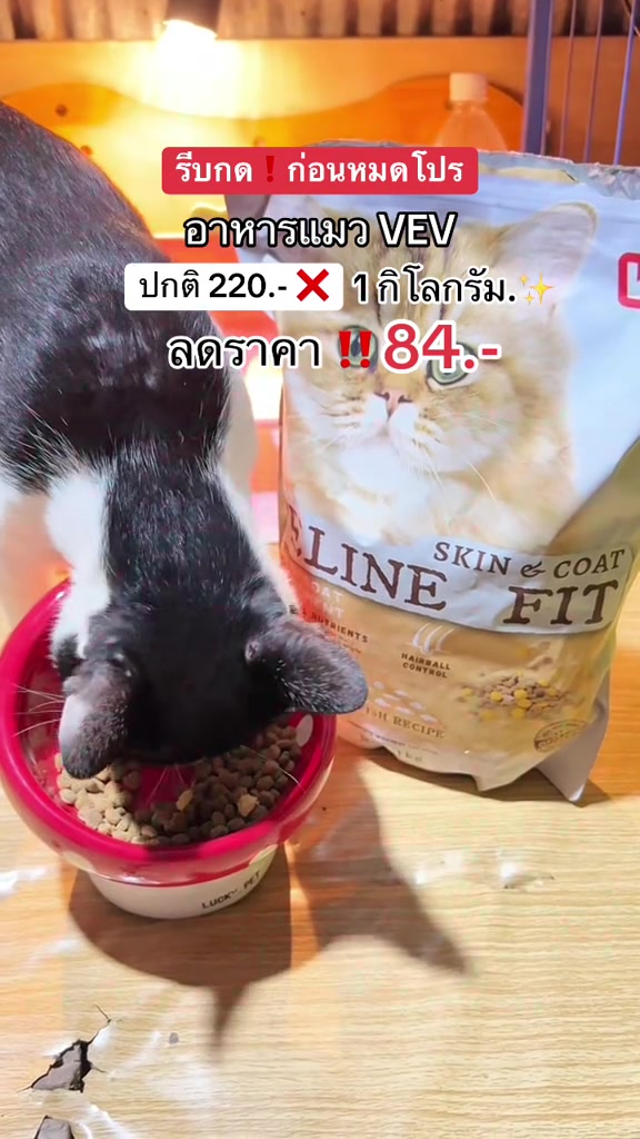 อาหารแมวไม่เค็ม 4 ถุงในช้อปปี้: อ่านเลขโซเดียมบนฉลากยังไง แล้วดีนี่แคท เฟลิโปร เวฟ พรามี่ ตัวไหนไม่เค็มจริงคุ้มจริง