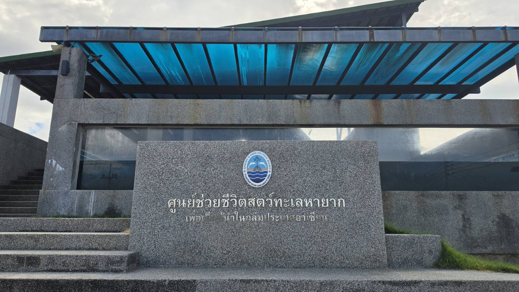 ประชากรเต่าทะเลลดลง 40% สัญญาณเตือนระบบนิเวศทะเล