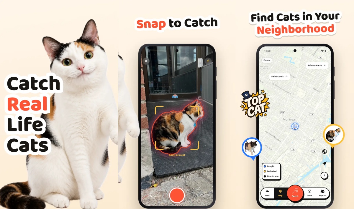 Cat Collector แอปเกมแมวที่เปลี่ยนรูปแมวจริงให้กลายเป็นการ์ดสะสม