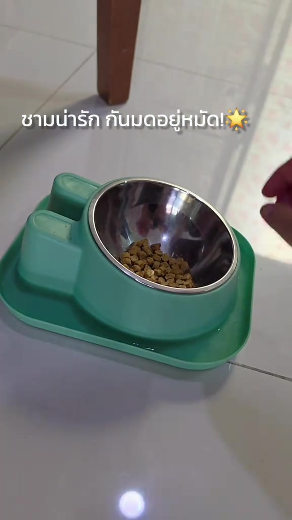ชามกันมดสีเขียวฐานรางน้ำใส่ชามสแตนเลสที่มีอาหารเม็ดอยู่ภายในวางบนพื้นกระเบื้อง