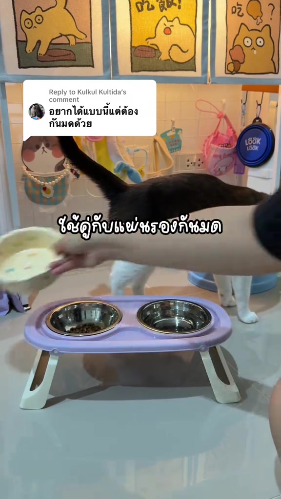 ชามยกสูงสองหลุมที่มีอาหารเม็ดในหลุมซ้ายวางอยู่หน้าแมวขาวดำขณะมือถือชามเซรามิกอีกใบ