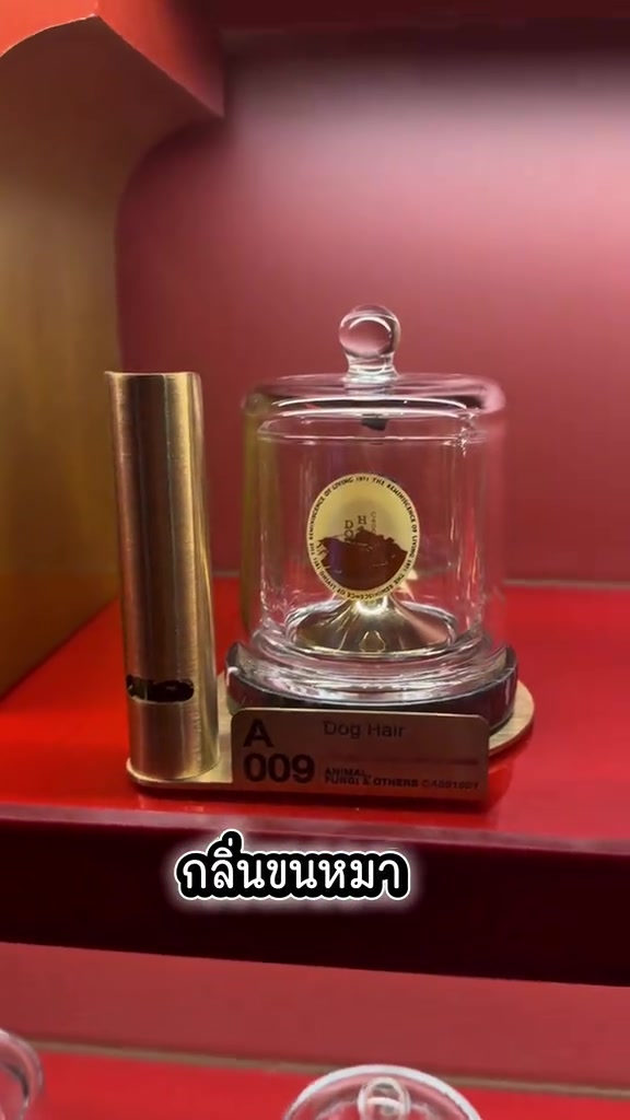 โถงแก้วทรงโดมบรรจุกลิ่น Dog Hair รหัส A009 วางบนชั้นสีแดงใน Scentorium