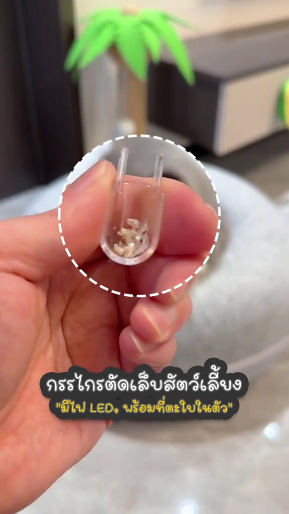 ช่องใสถอดออกจากกรรไกรตัดเล็บพร้อมเศษเล็บแมวที่เก็บอยู่ข้างใน