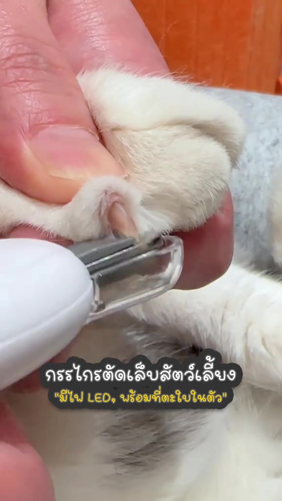 กรรไกรตัดเล็บมีไฟส่องกำลังตัดปลายเล็บอุ้งเท้าแมวสีขาว