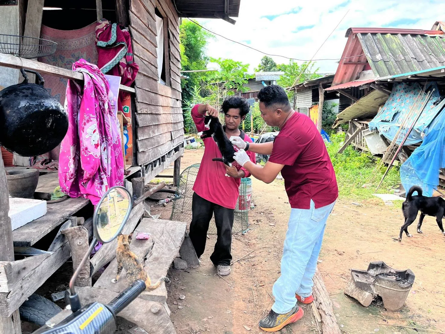 ระบาดพิษสุนัขบ้าบุรีรัมย์ ปูพรมฉีดวัคซีน 5 กม. เจ้าของสัตว์ต้องทำอะไรตอนนี้
