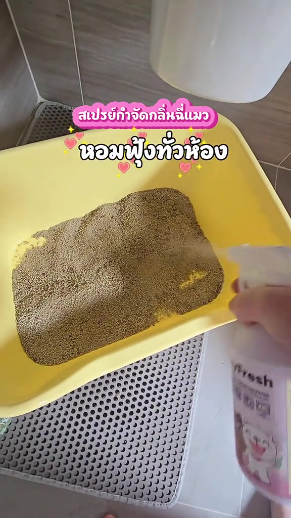 มือ cầm ขวดสเปรย์ฉีดพ่นลงบนทรายแมวในกระบะทรายสีเหลือง