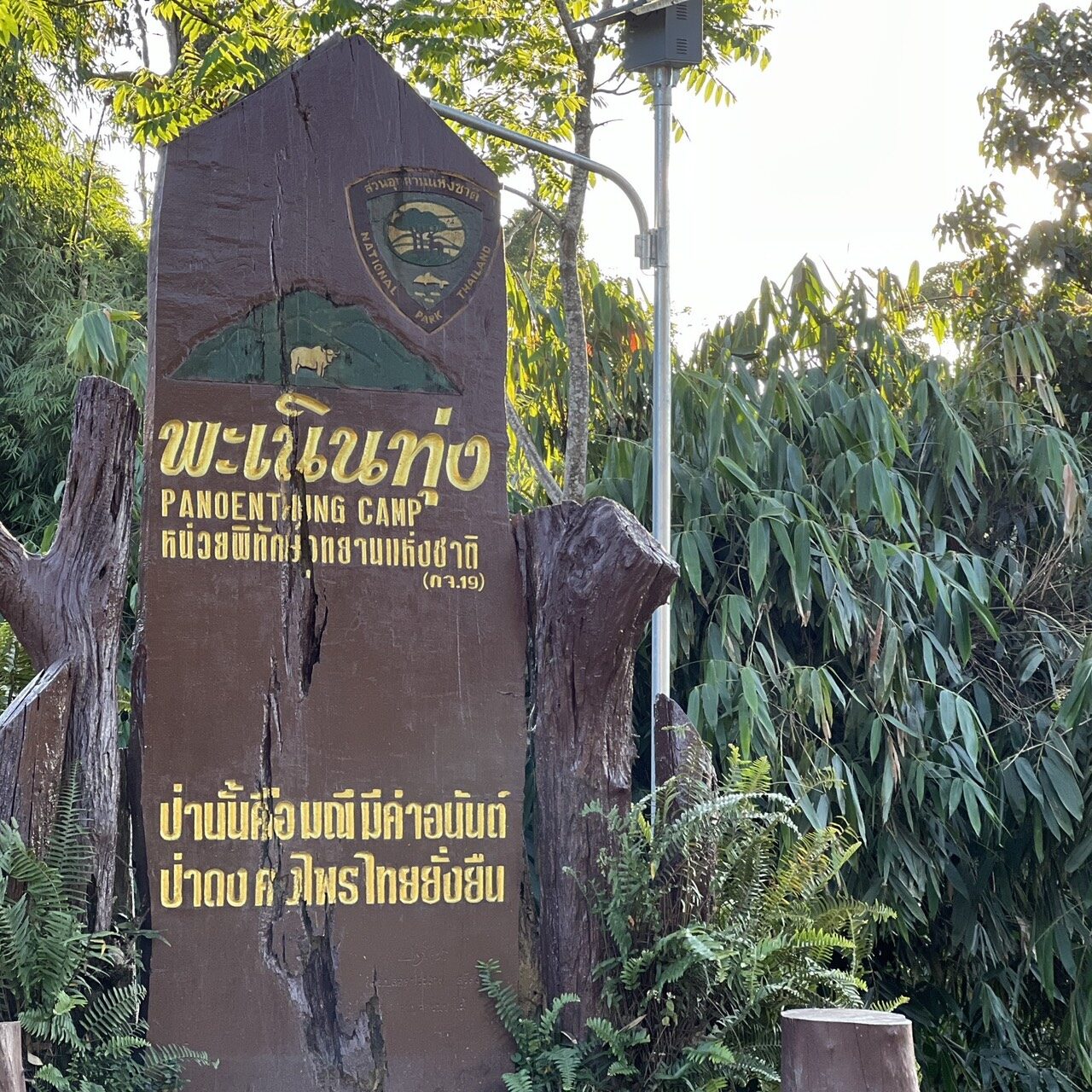 ปรับเส้นทางวิ่งเทรลแก่งกระจาน เมื่อกีฬาเข้าใจป่ามรดกโลก