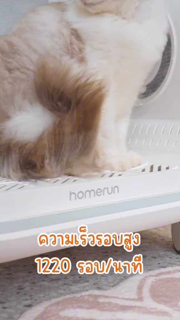ภาพใกล้ขนแมวสีขาวน้ำตาลในตู้เป่าขนเห็นแถบโลโก้โฮมรัน มีข้อความบอกความเร็วรอบ 1,220 รอบต่อนาที
