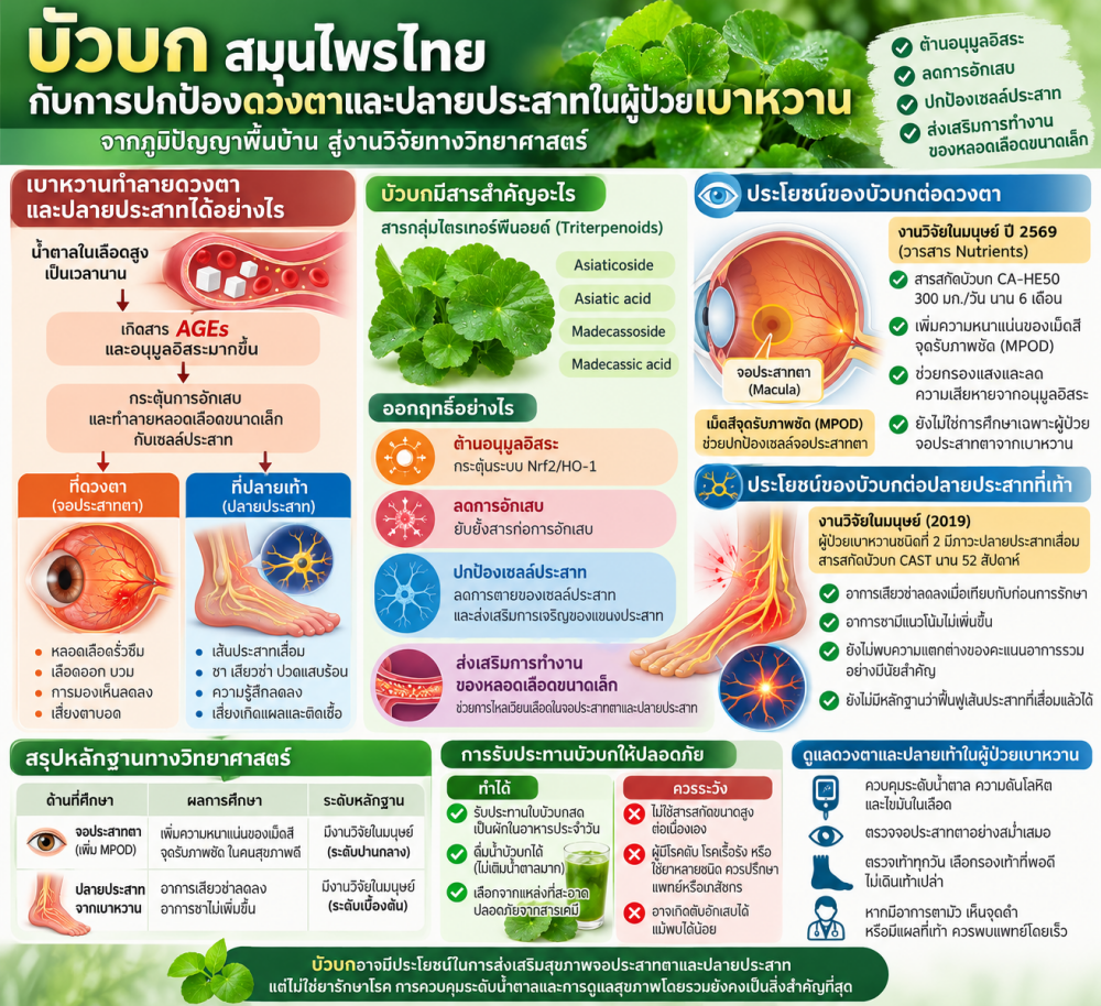 การตรวจสุขภาพฟรีและเวิร์กช็อปสมุนไพรในงาน Thai FDA WELLNEXT มีอะไรที่ไม่ควรพลาด