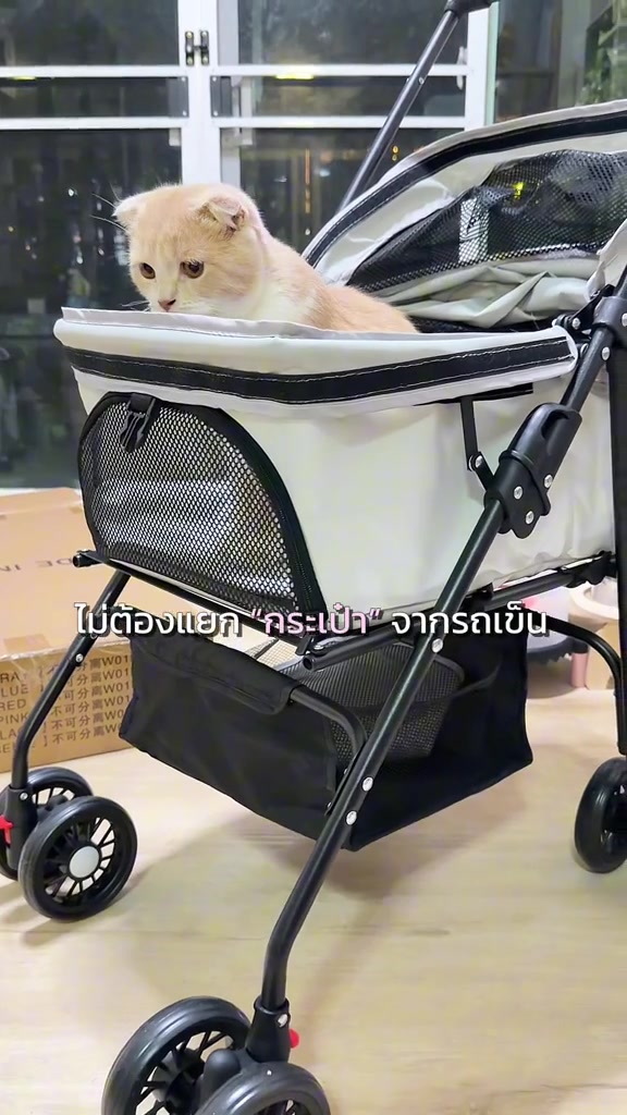 แมวสีครีมนั่งสงบในตะกร้ารถเข็นสัตว์เลี้ยงสีขาวขอบดำที่มีตาข่ายรอบคัน