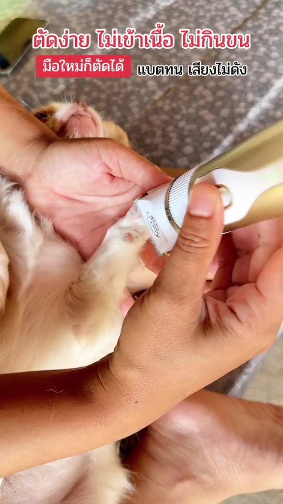 มือประคองอุ้งเท้าแมวไว้ขณะที่เครื่องตัดขนไร้สายสีขาวทองเล็มขนรอบอุ้งเท้าอย่างเบามือ
