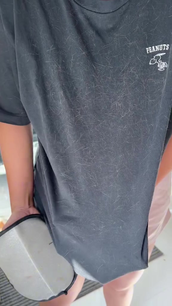 ที่กำจัดขนแมว 4 แบบ: ลูกกลิ้งเทปกาว ลูกกลิ้งล้างได้ แปรงรูดมีช่องเก็บขน และถุงมือซิลิโคน ตัวไหนเก็บขนโซฟาอยู่จริง