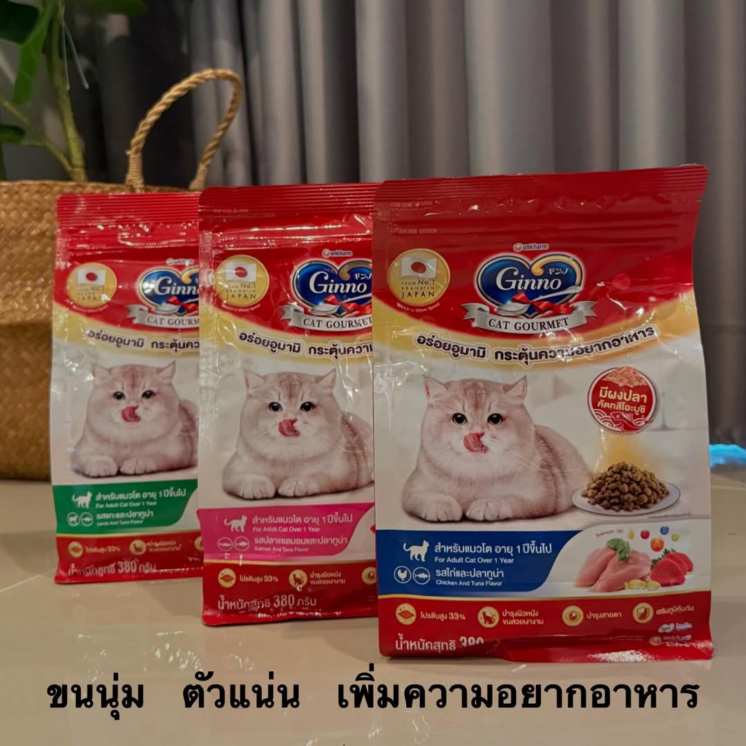 ถุงอาหารเม็ดกินโนะหลายแบบวางเรียงอยู่ข้างชามอาหาร