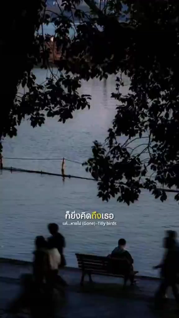 แค่...หายไป (Gone) ของ Tilly Birds: ความหมายเพลงและเครดิตที่ต้องแยก