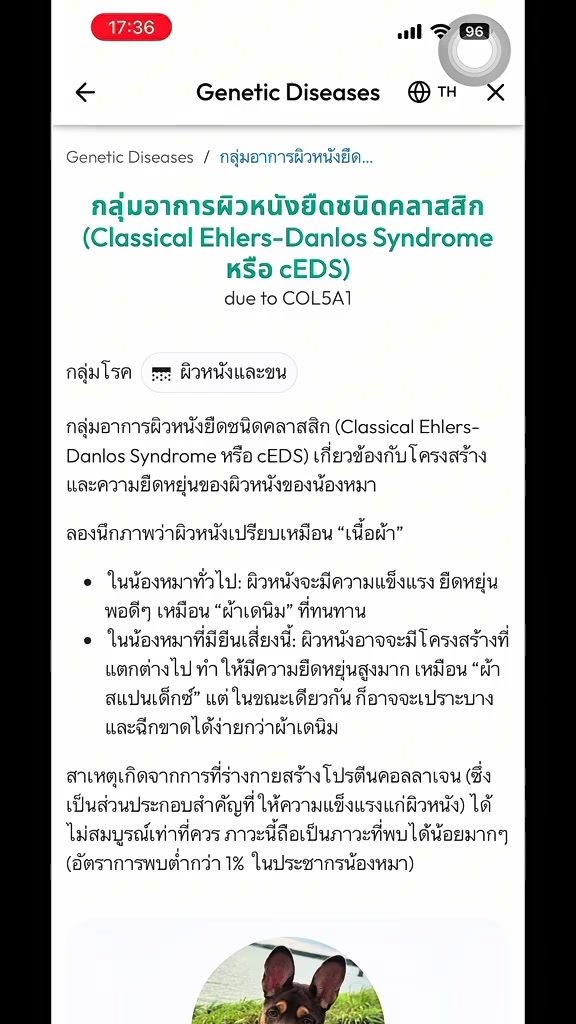 หน้าคำอธิบายกลุ่มโรคทางพันธุกรรมในรายงานแอป
