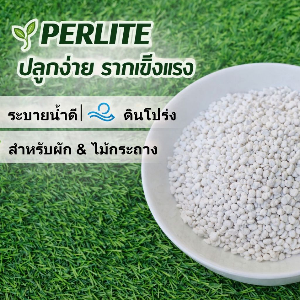 ราคาลดลงใหม่: เพอร์ไลต์ Perlite