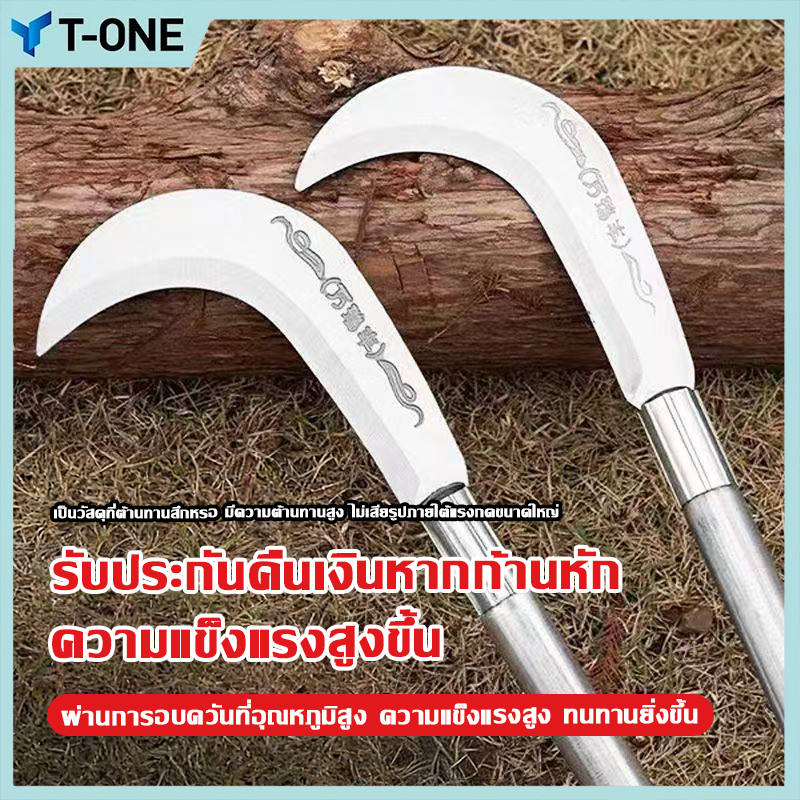 ลด 25%: นำเข้าจากเยอรมัน