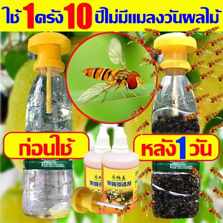 ลด 40%: ชุดดักแมลงวันทอง
