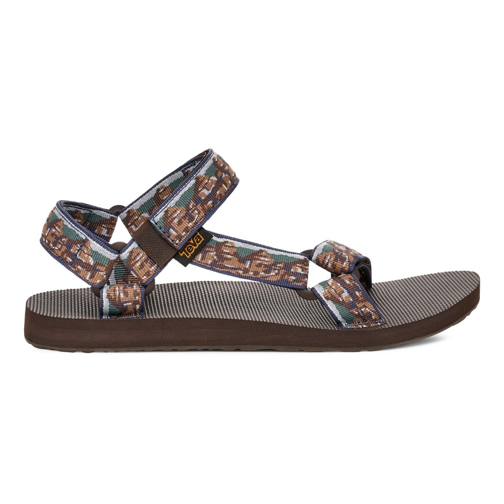 ราคาลดลงใหม่: TEVA M
