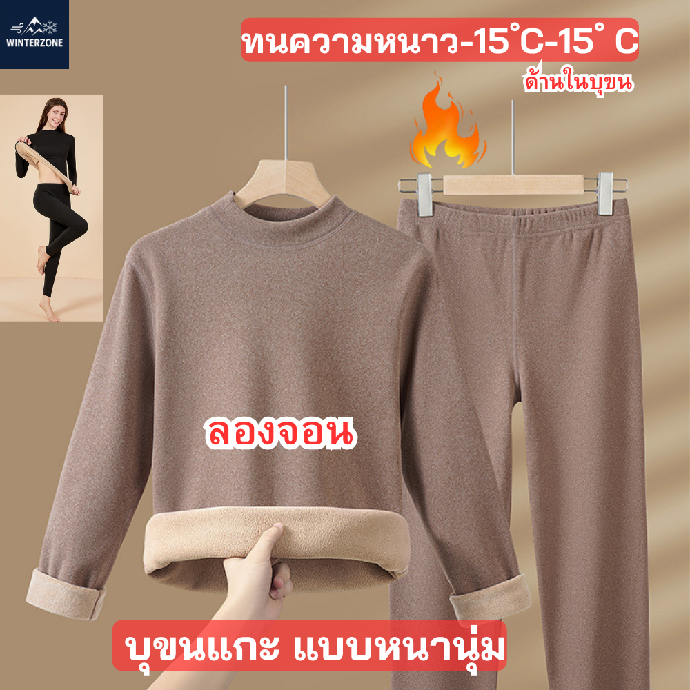 ราคาลดลงใหม่: Winter Zone