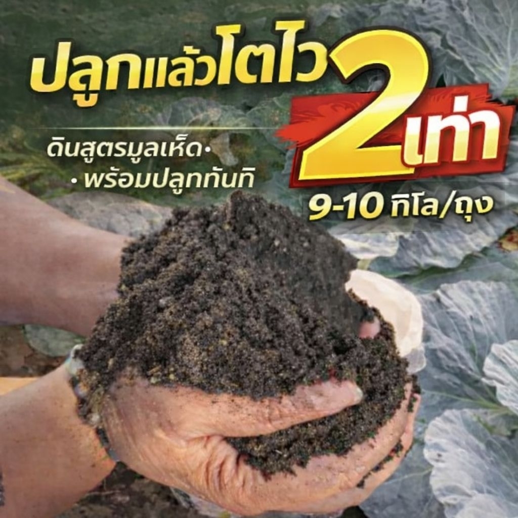 ลด 45%: ดินปลูกต้นไม้ ดินโตดี