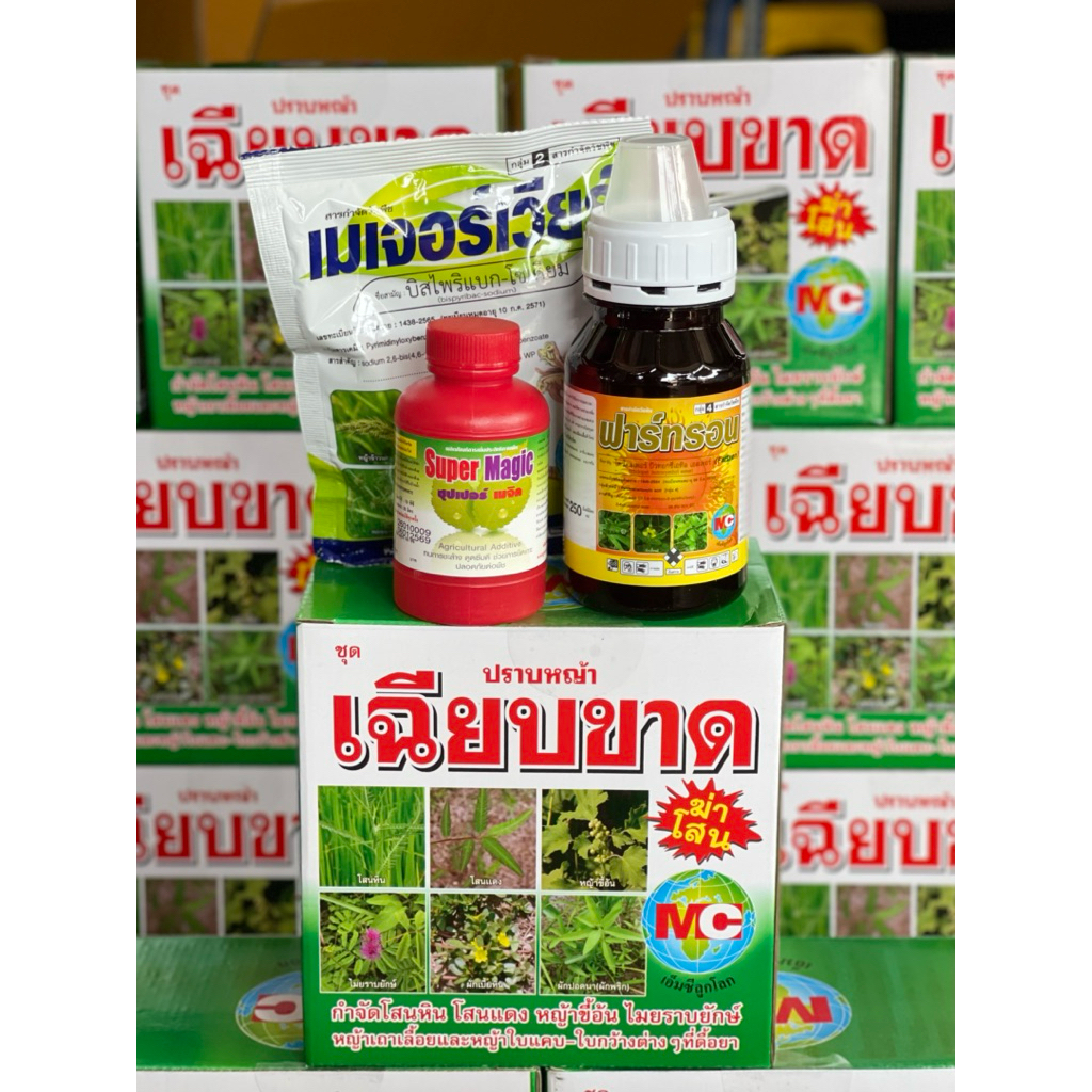 ราคาลดลงใหม่: เฉียบขาด
