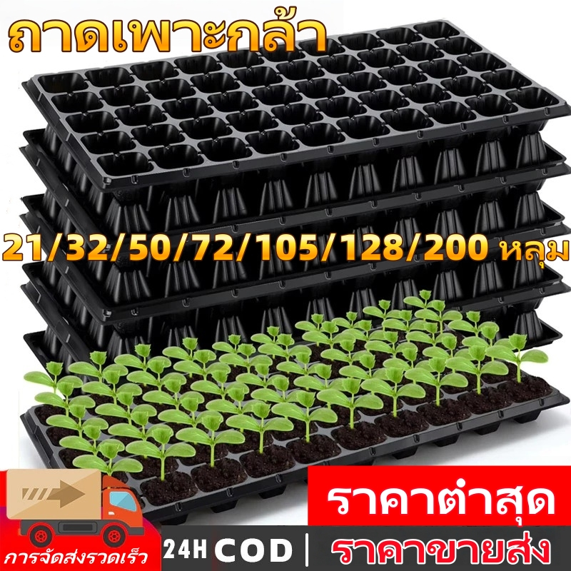 ลด 20%: ถาดเพาะกล้า, ถาดเพาะผัก,