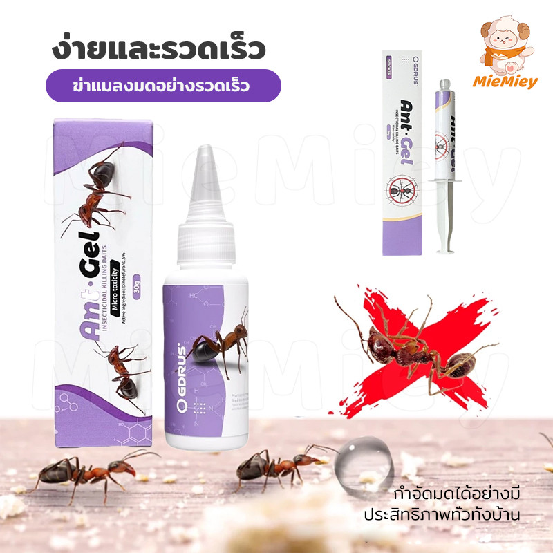 ราคาลดลงใหม่: เจลกําจัดมด แอนติแอนท์