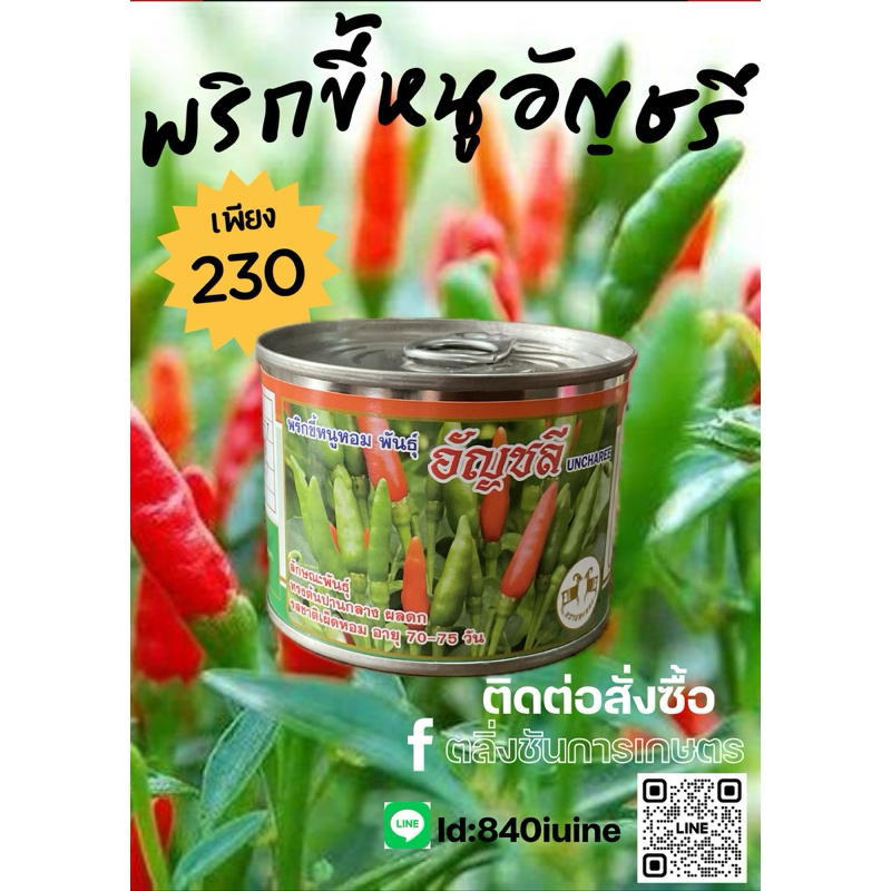 ลด 33.4% พริกหอม 20 กรัม