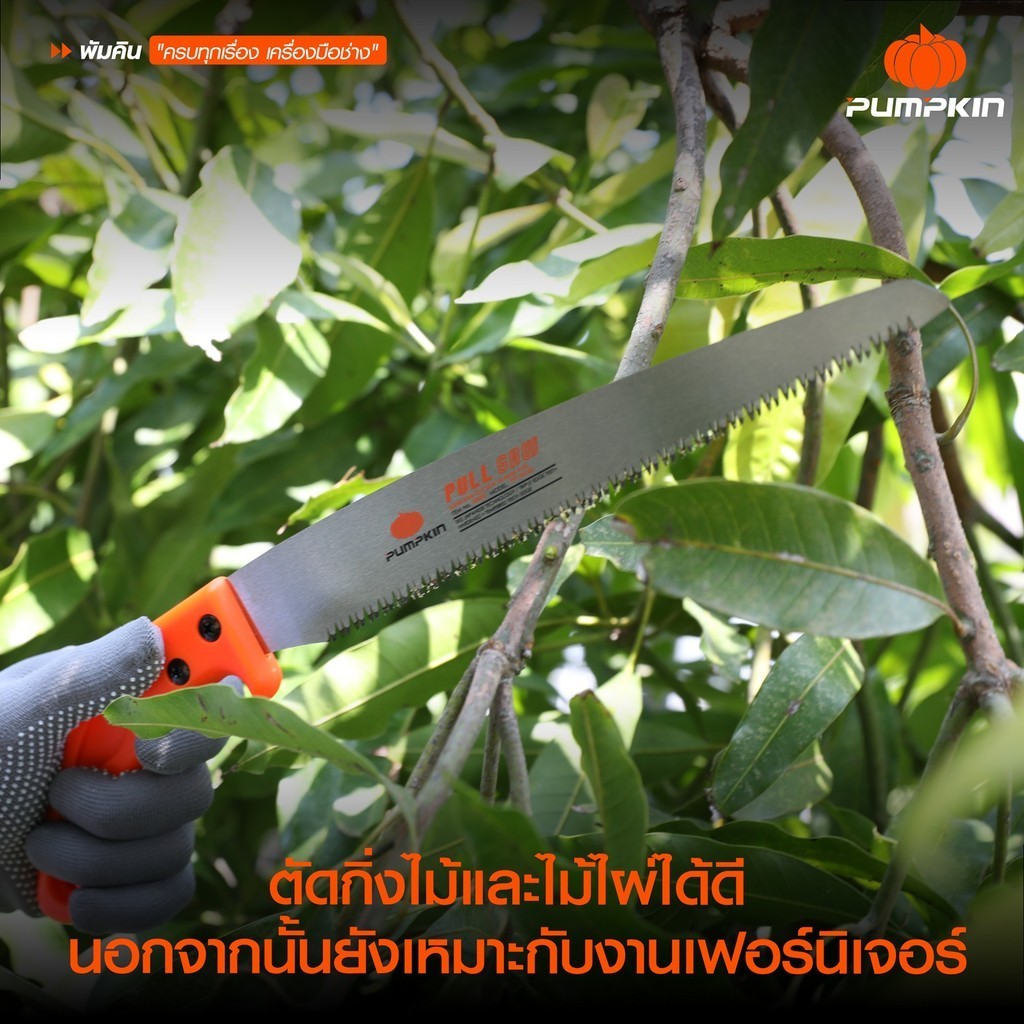 ลด 30%: PUMPKIN เลื่อยพลูซอตัดกิ่งไม้