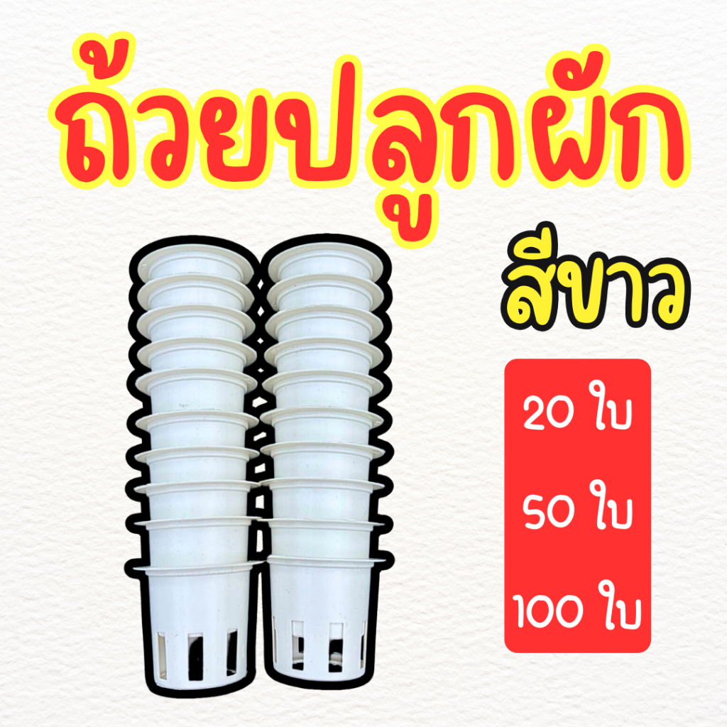 ลด 14.3% ถ้วยปลูกไฮโดรโปนิกส์ ใช้ซ้ํา