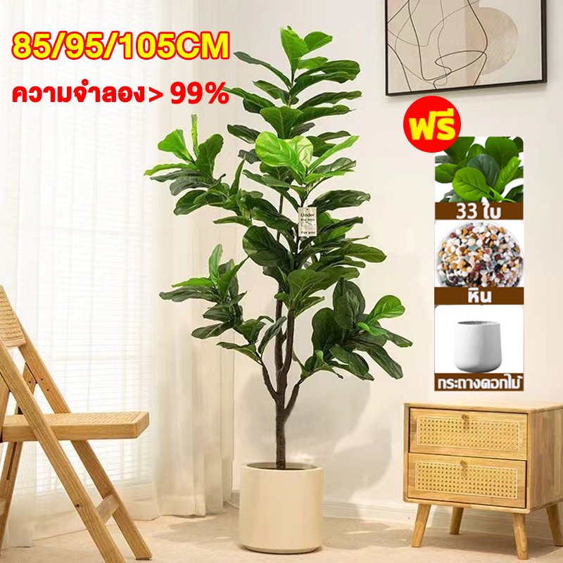 ลด 29%: พืชที่ไม่เสียเป็นเวลา 50 ปี