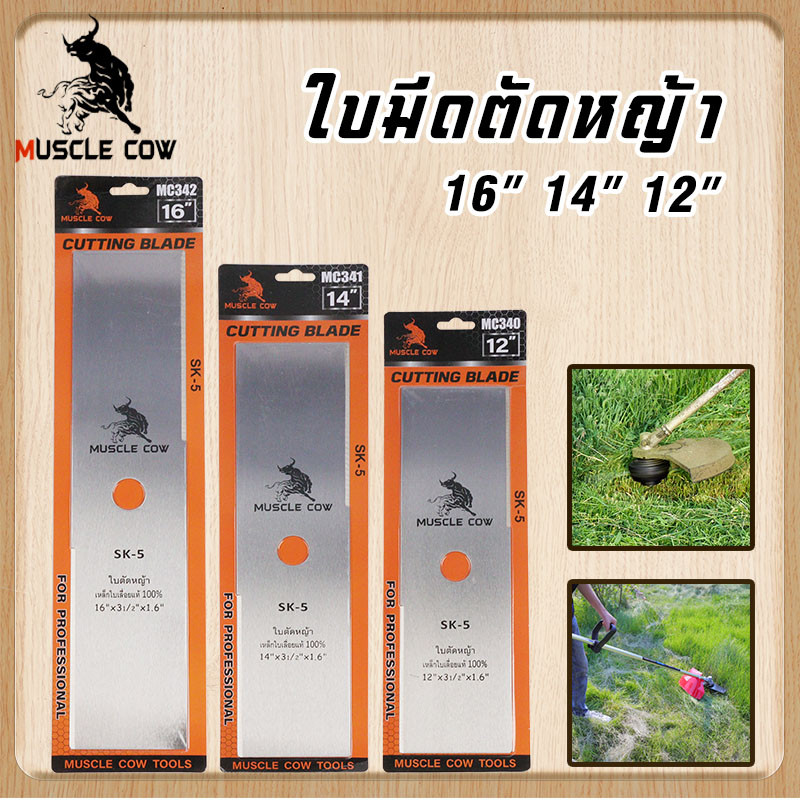 ลด 30%: MUSCLE COW ขายร้อนใหม่ 6 รุ่น