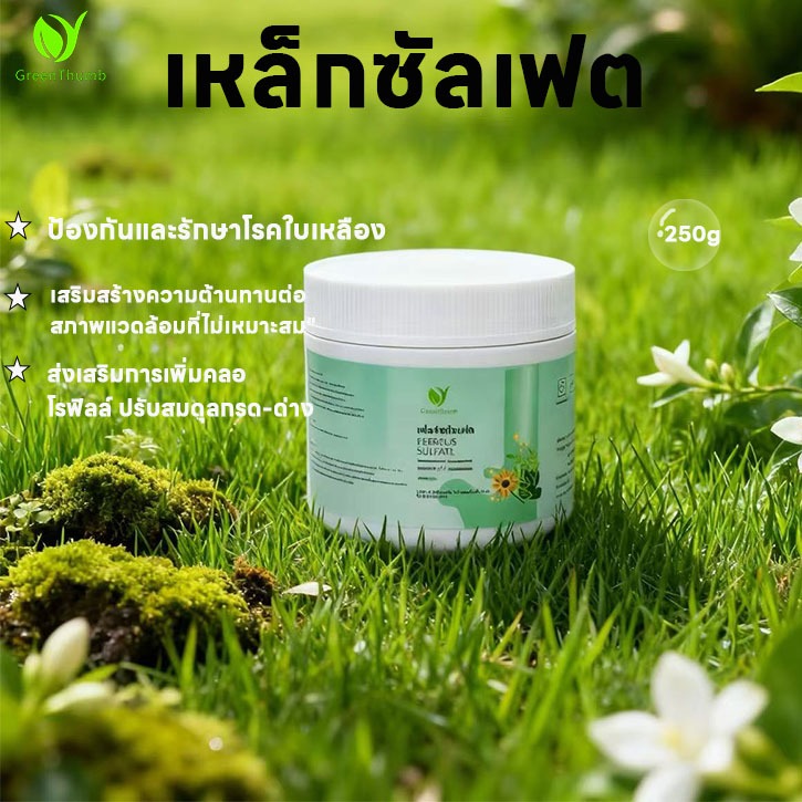 ลด 34%: เหล็กซัลเฟต 250g -ปุ๋ย