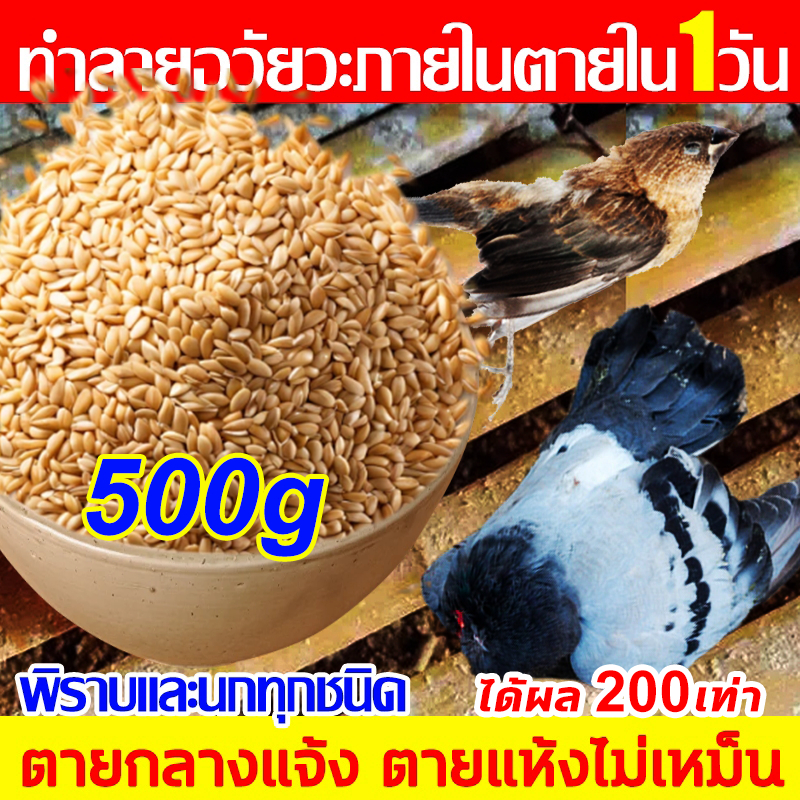 ลด 26.7% จากก่อนหน้า ยาเบื่อนกพิราบ