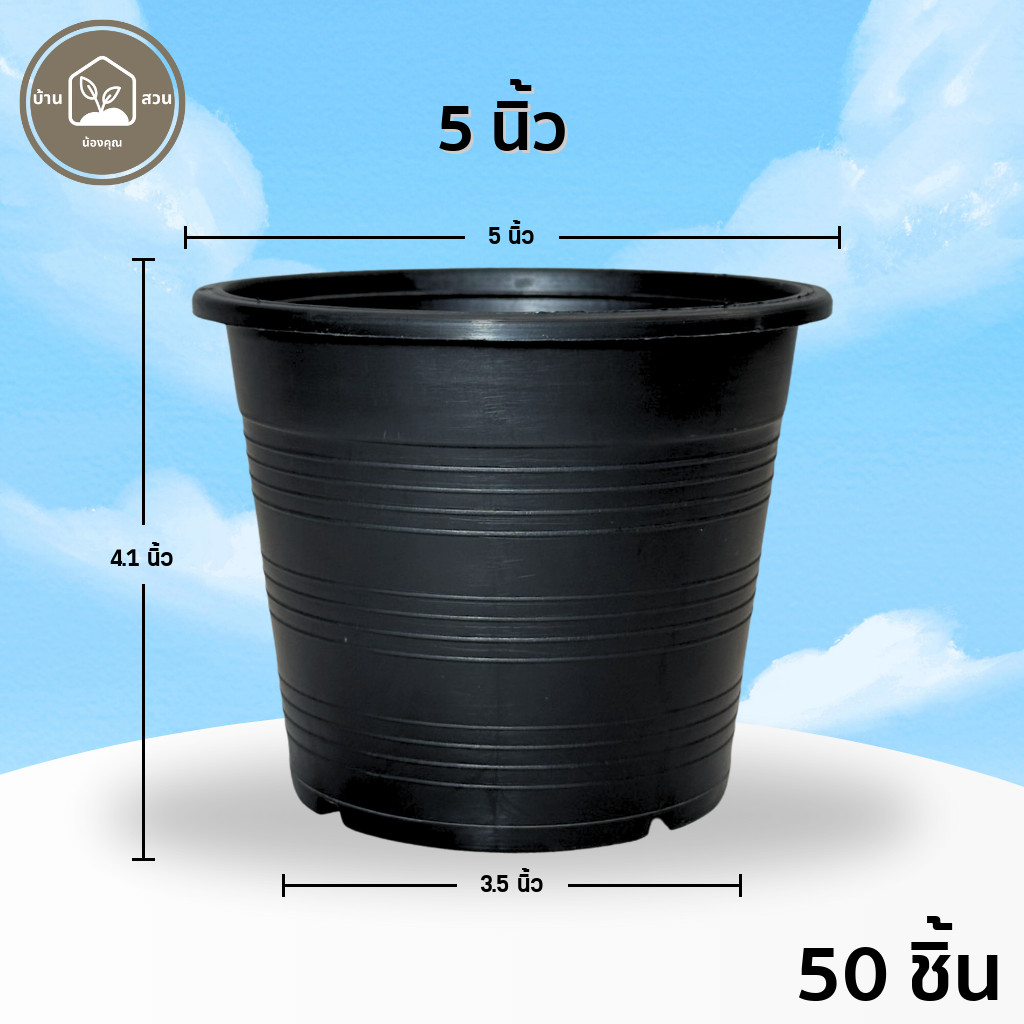 ลด 29%: กระถาง 5.4 5.5 นิ้ว ยกมัด