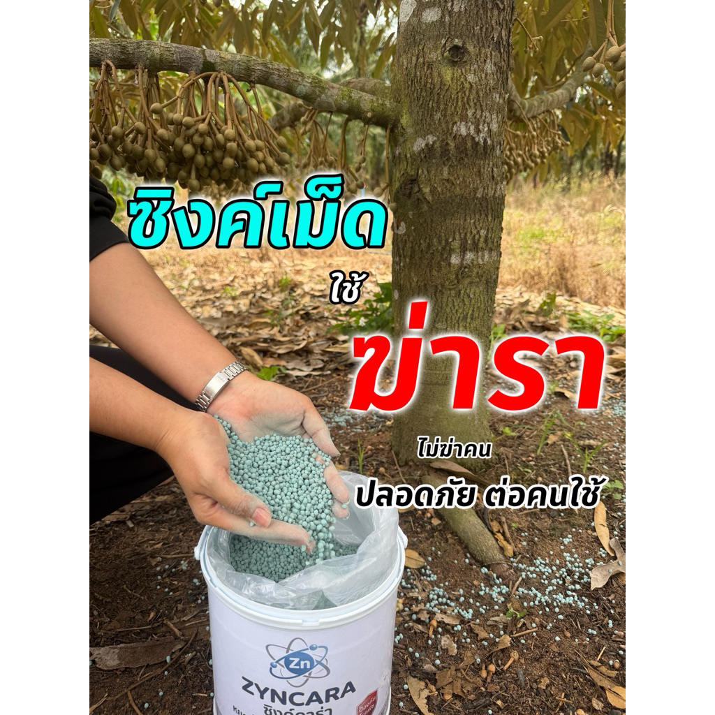 ลด 30%: ซิงค์ คาร่า อัดเม็ด ใช้ป้องกันเชื้อรา คุมโรคทางดิน (จํานวน 2 ถัง)