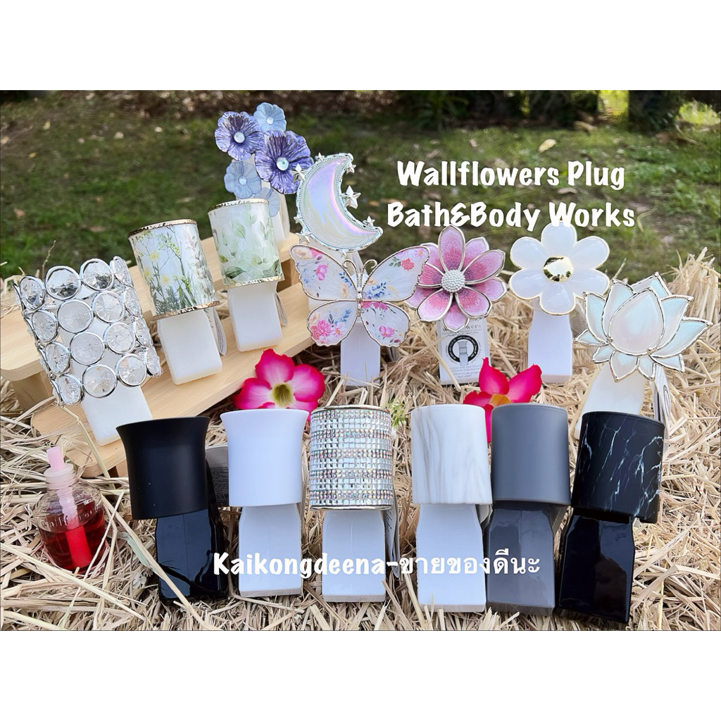 ลด 32%: Wallflowers Plug