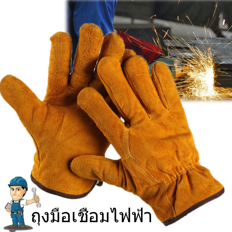 ราคาลดลงใหม่: Intelscore