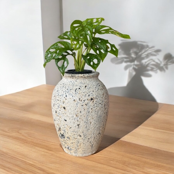 ราคาลดลงใหม่: Vase แจกันดินเผาทรงไหจิ๋ว